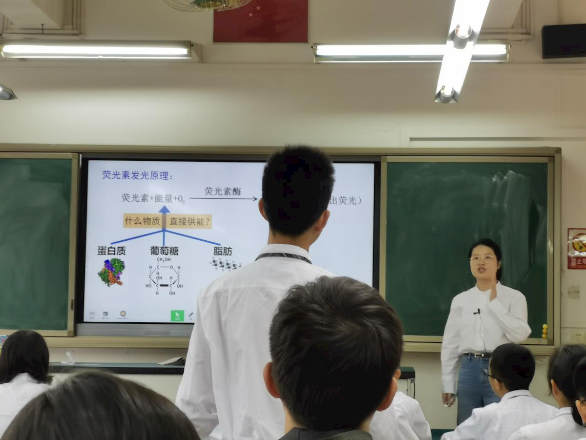 58e8dda85b0c470cbc04752ec276d984.png