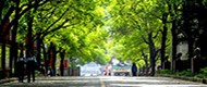 郡师博客