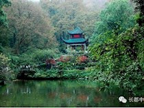 【文学】杨新国：律诗三首